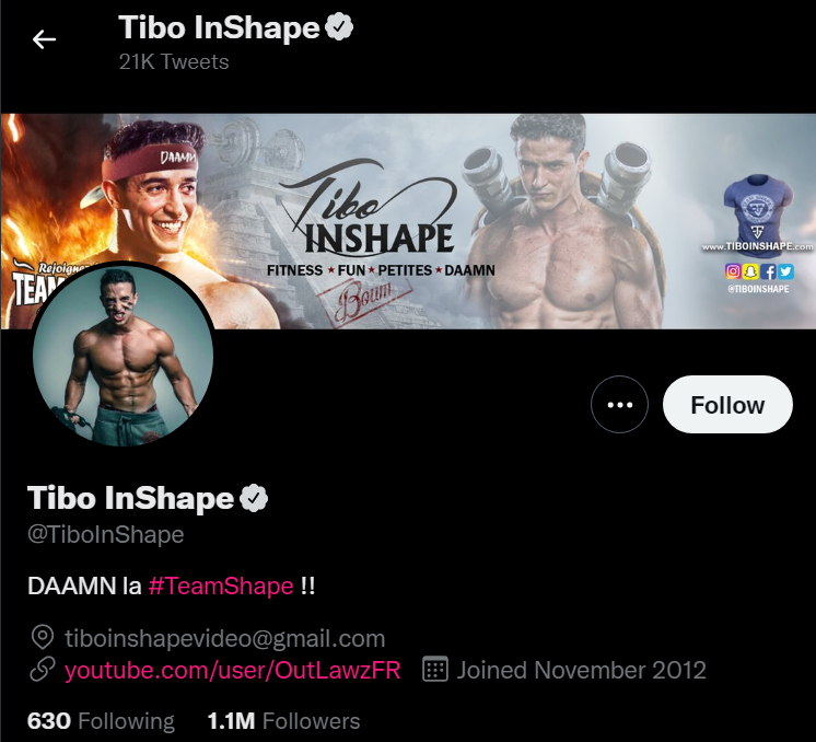 Tibo-InShape-Top-10-French-Influencer-Twitter
